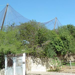 African Rift Valley - Walk-Through Aviary