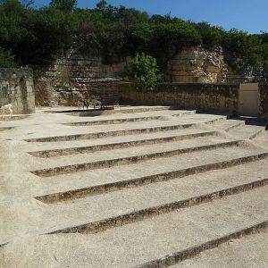 Dama Gazelle Exhibit - The Stairmaster!