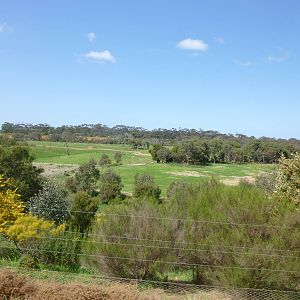Flood Plain Savannah