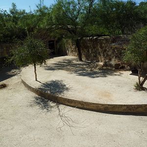 Speke's Gazelle Exhibit