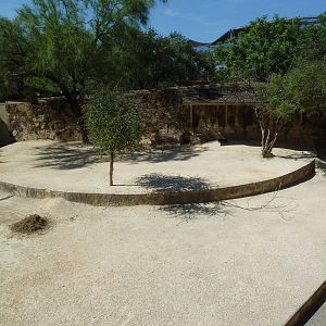 Speke's Gazelle Exhibit