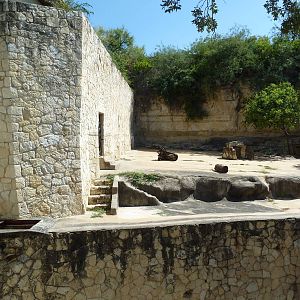 Sumatran Tiger Exhibit