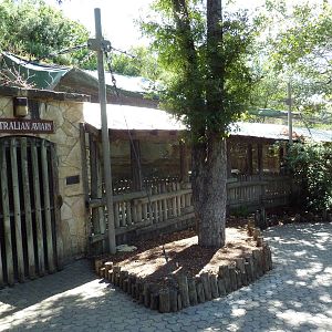 Walk-Through Australian Aviary