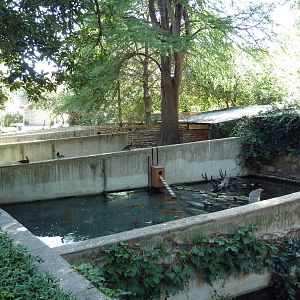 Waterfowl/Turtle Pool (Cement Pit)