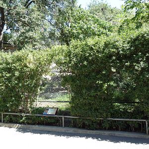 Secretary Bird Exhibit