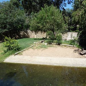 Gharial/Wattled Crane/Malayan Painted Turtle Exhibit