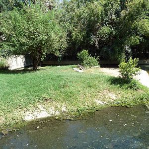 Gharial/Wattled Crane/Malayan Painted Turtle Exhibit