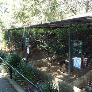 Assorted Aviaries