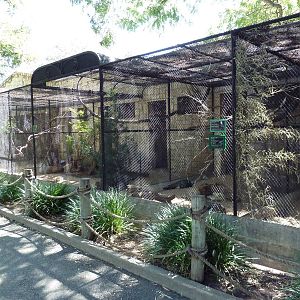 Assorted Aviaries