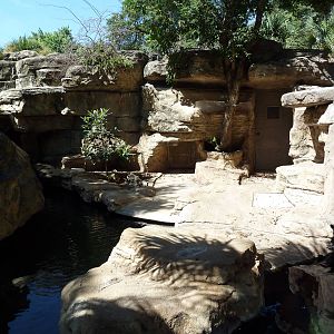 Orinoco Crocodile Exhibit