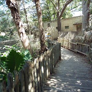 Wetlands - Boardwalk