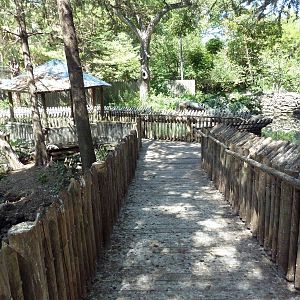 Wetlands - Boardwalk
