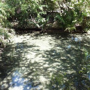 Manchurian Crane Exhibit