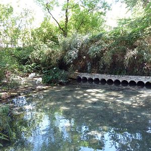 Whooping Crane Exhibit