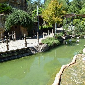 Tiny Tot Nature Spot - Flamingo Lagoon