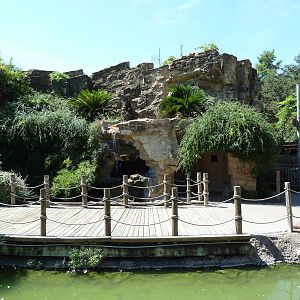 Tiny Tot Nature Spot - Boardwalk