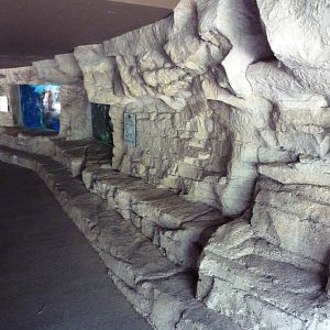 Tiny Tot Nature Spot - Tropical Waters