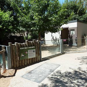 Tiny Tot Nature Spot - Aldabra Tortoise Exhibit