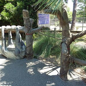 Tiny Tot Nature Spot - Sloth Play Area