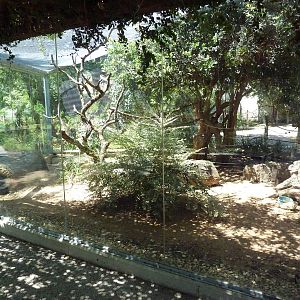 Tiny Tot Nature Spot - Coati Exhibit