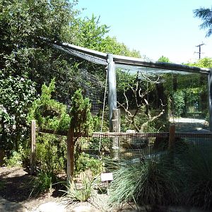 Tiny Tot Nature Spot - Coati Exhibit