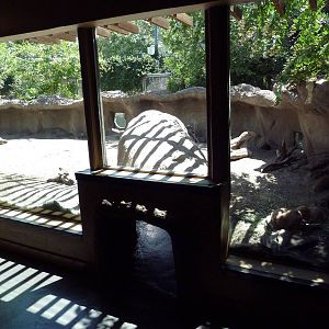 Tiny Tot Nature Spot - Prairie Dog Exhibit