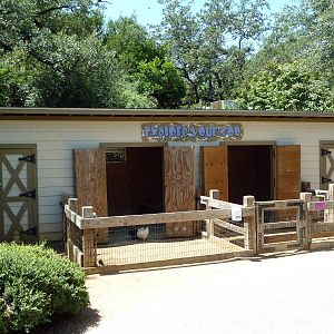 Tiny Tot Nature Spot - My Backyard