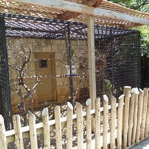 Empty Tamarin Exhibit