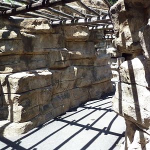 Cat Grotto - Visitor Walkway