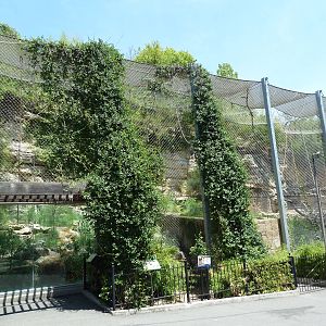 White-Cheeked Gibbon/Small-Clawed Otter/Reeves' Muntjac Exhibit
