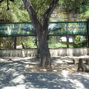 Komodo Dragon Exhibit