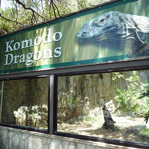 Komodo Dragon Exhibit