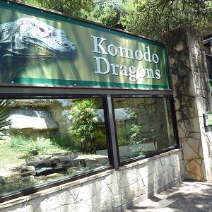 Komodo Dragon Exhibit