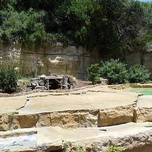 Grizzly Bear Exhibit