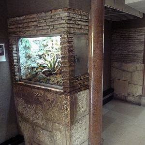 Reptile House - Typical Exhibits