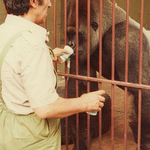 Giardino Zoologico, circa 1985