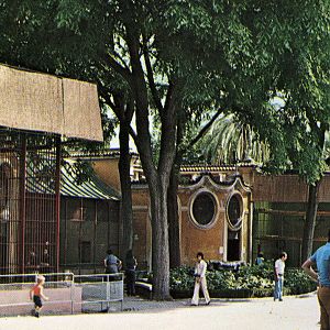 Giardino Zoologico, ape house 1976