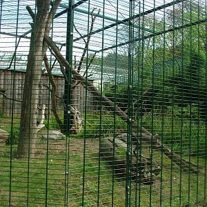 Mangabey Outdoor Exhibit at Landau Zoo, 04/09/10