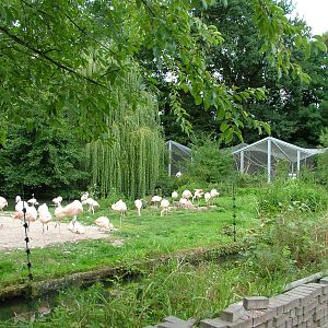 General View at Landau Zoo, 04/09/10