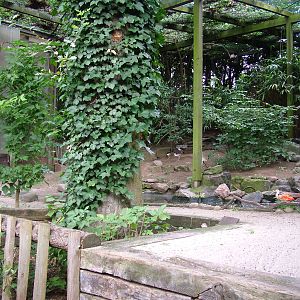 Walk-in Aviary at Landau Zoo, 04/09/10