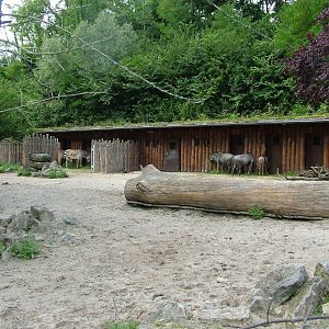 African Paddock at Landau Zoo, 04/09/10