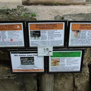 Signage Example at Landau Zoo, 04/09/10