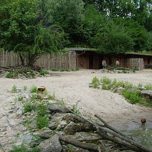 African Paddock at Landau Zoo, 04/09/10