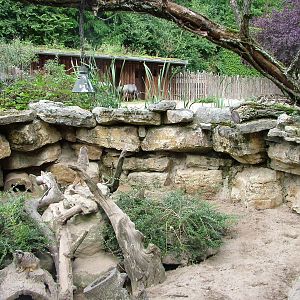 Meerkat Exhibit at Landau Zoo, 04/09/10