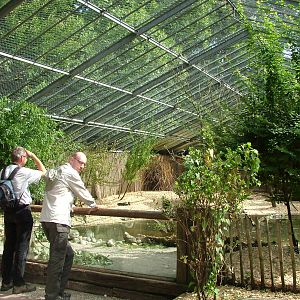 Walk-in Aviary at Landau Zoo, 04/09/10