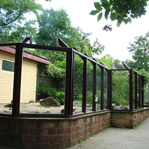 Fennec Fox Exhibit at Landau Zoo, 04/09/10