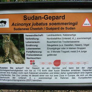 Signage Example at Landau Zoo, 04/09/10