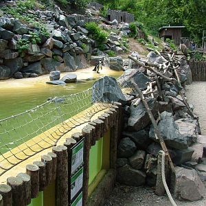 Penguin Pool at Landau Zoo, 04/09/10