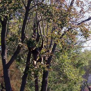 Parco Punta Verde, Lignano, 2006