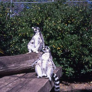 Parco Punta Verde, Lignano, 2006